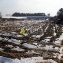 용지농장 이미지