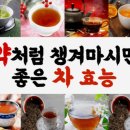 차 효능 이미지