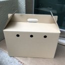 부산강아지분양 앨리펫 이미지