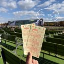 (주)런 | 렛츠런파크 경마공원 베팅 후기와 지난 한 주 일상