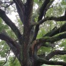 순천공업고등학교 이미지