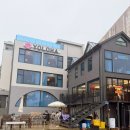 욜로하 스테이 이미지