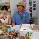 멀티팜 이미지