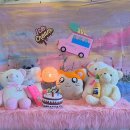 애견시선 이미지