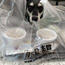 무모한초밥 대전우송대점