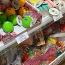 견생냥품 이미지