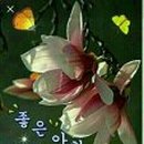 인사인 - 경산시 원효로 323 | 인사인