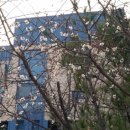 까치울역 4번 출구 이미지