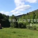 스와니 - 세종특별자치시 도움1로 106 | 스와니