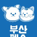 벡스코메디컬센터 이미지