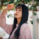 스타일펫츠 이미지