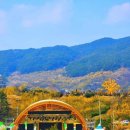 구례 이미지