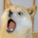 동해시-63 이미지