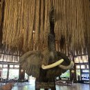 캣츠호텔 | 케냐 🇰🇪 나이로비 사파리파크호텔, 캣츠쇼와 마사이 마켓