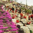 파토리아 이미지