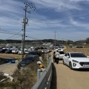 민이푸드 | 당진 벚꽃 여행 당진순성벚꽃길 &amp; 당진 벚꽃카페 피어라