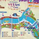 장성황룡강노란꽃잔치 축제장5 | 전남 장성 황룡강 가을꽃축제 후기 주차정보 광주근교 나들이