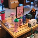 한빛멀티스쿨학원 | 스타벅스 새학기 백투스쿨 포지티브 MD 스벅 텀블러 백팩 보냉백 키링 출시일 가격 굿즈 실물 후기