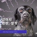 좋은 친구들 동물병원 이미지