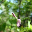 심심산골 이미지