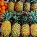 문수한의원 이미지