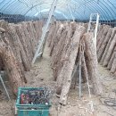 산장농원 이미지