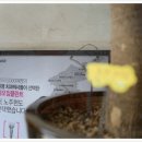 화이트치과의원 이미지