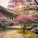 신광면/비학산 작은도서관 | 경북 봄 매화 명소 7곳, 직접 다녀온 곳만 솔직하게 알려드릴게요