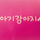 장화신은 고양이 & 강아지 미용 이미지