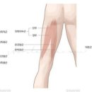 MJ운동센터 이미지