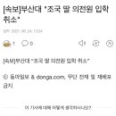 [속보]부산대 "조국 딸 의전원 입학 취소" 이미지