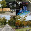 청라 노을공원 스케이트플라자 | 인천 아이랑 갈만한곳 청라 공원 노을공원 차크닉 피크닉 장소 추천