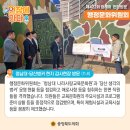 가덕초 상야분교 이미지