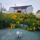 경안동 99-1 네이버블로그
