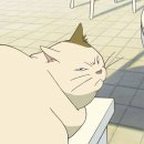 고양이의 보은 이미지