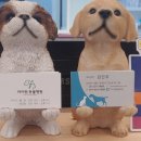 곰곰동물병원 이미지