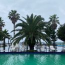 제주도 게스트하우스파티 빅썸 이미지