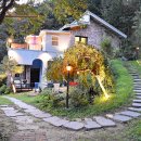 포레스트펜션 이미지