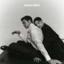 끌레르독 이미지