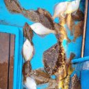 오케이낚시 이미지