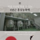 금산고려인삼