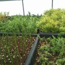 태안목장 이미지