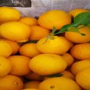 윤슬농장 이미지