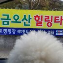 금오산풀타운 이미지