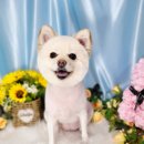 도꾸살롱 이미지