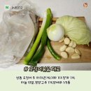 강동플루800 이미지