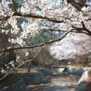 왕인박사유적지 성기동관광지 이미지