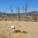 양평한강공인중개사사무소 이미지