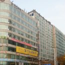 강아지영토 이미지