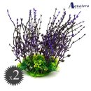 아쿠아테라 수족관 이미지